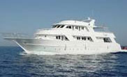 m/y Dive One