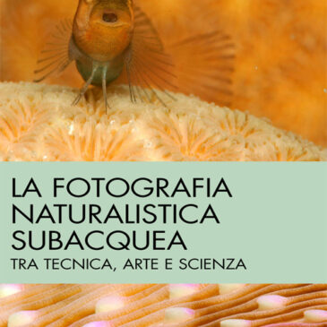 Esce La Fotografia Naturalistica Subacquea di Massimo Boyer