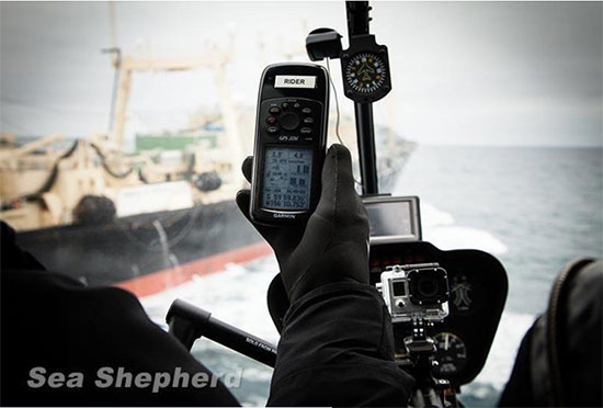 sea shepherd