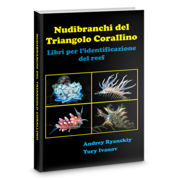 Nudibranchi del Triangolo Corallino