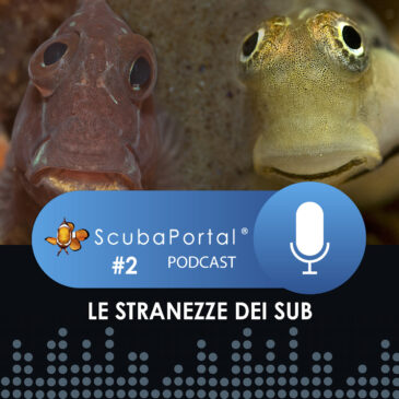 Il podcast di ScubaPortal